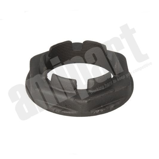 Amipart - AXLE END NUT