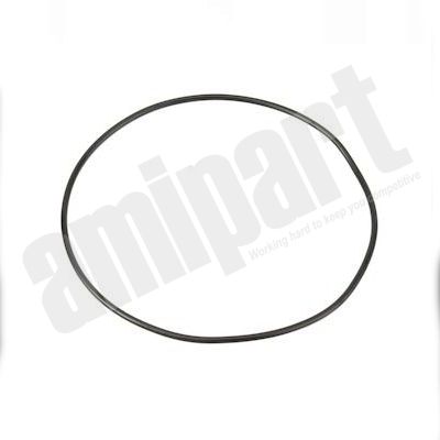 Amipart - O RING (FOR HUB CAPS AM7356/AM7395)