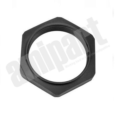 Amipart - AXLE END NUT