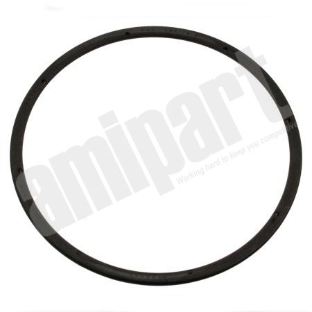 Amipart - RENAULT / VOLVO SEALING RING