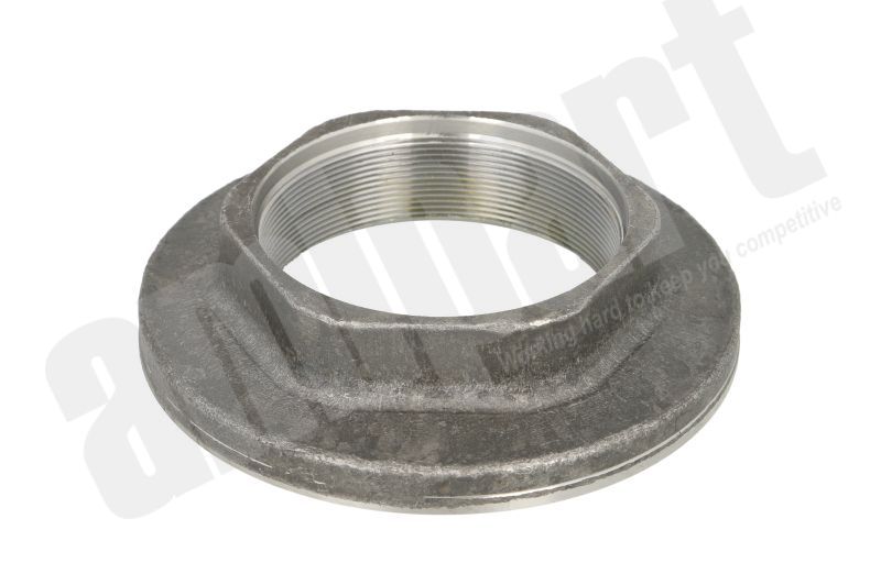 Amipart - L/H SAF AXLE END NUT