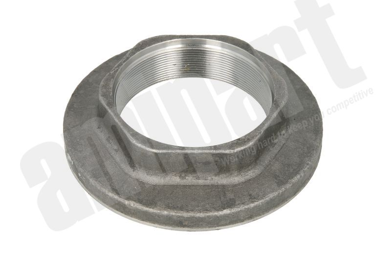 Amipart - R/H SAF AXLE END NUT